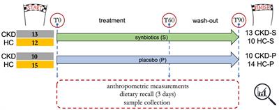 In vivo evaluation of an innovative synbiotics on stage IIIb-IV chronic kidney disease patients